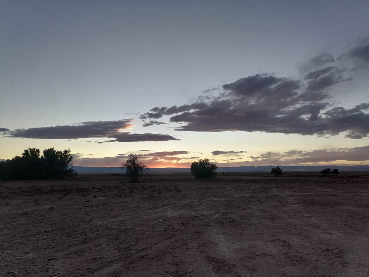Registro de actividad en territorio (10)