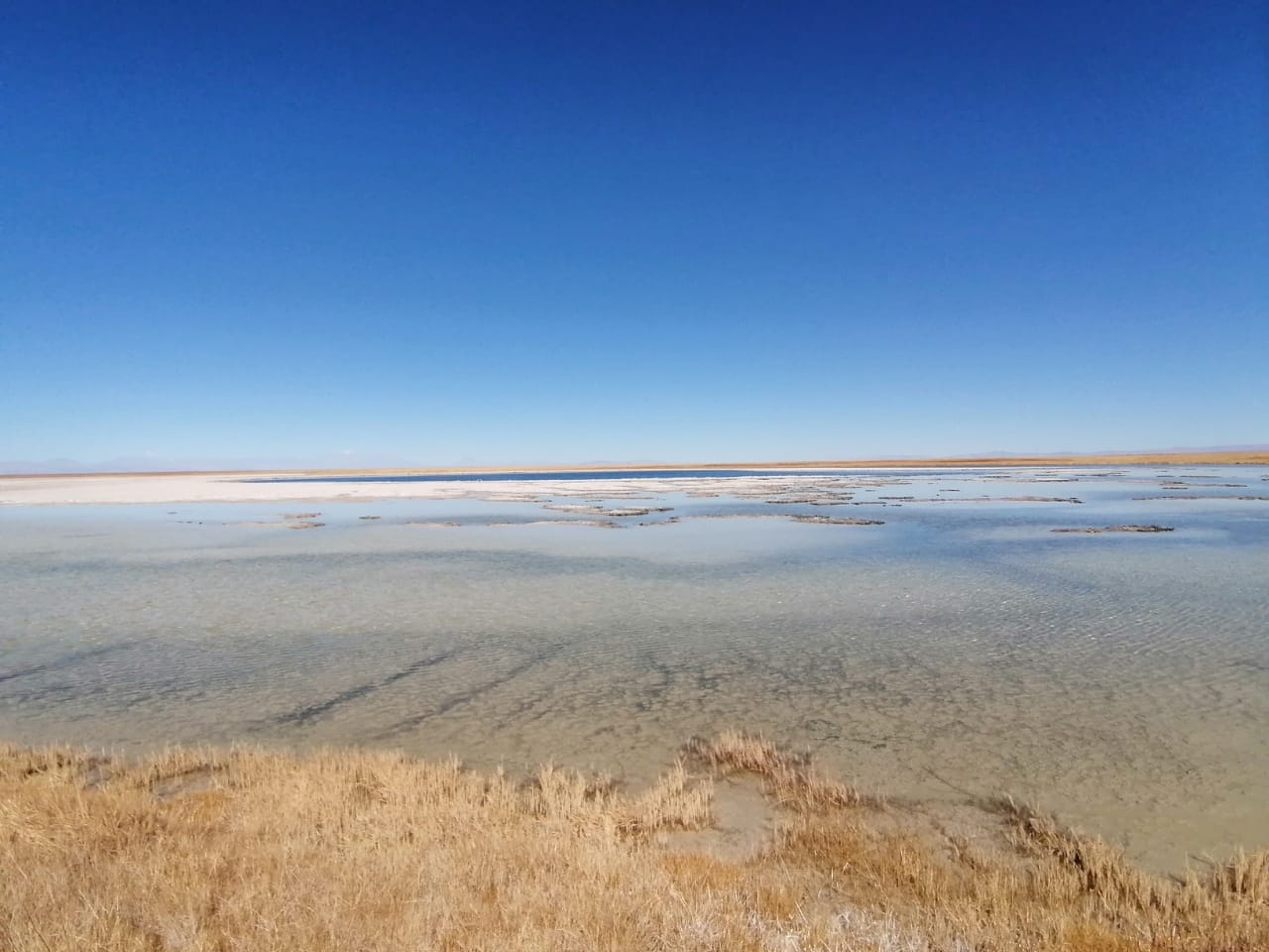 Registro de actividad en territorio (11)