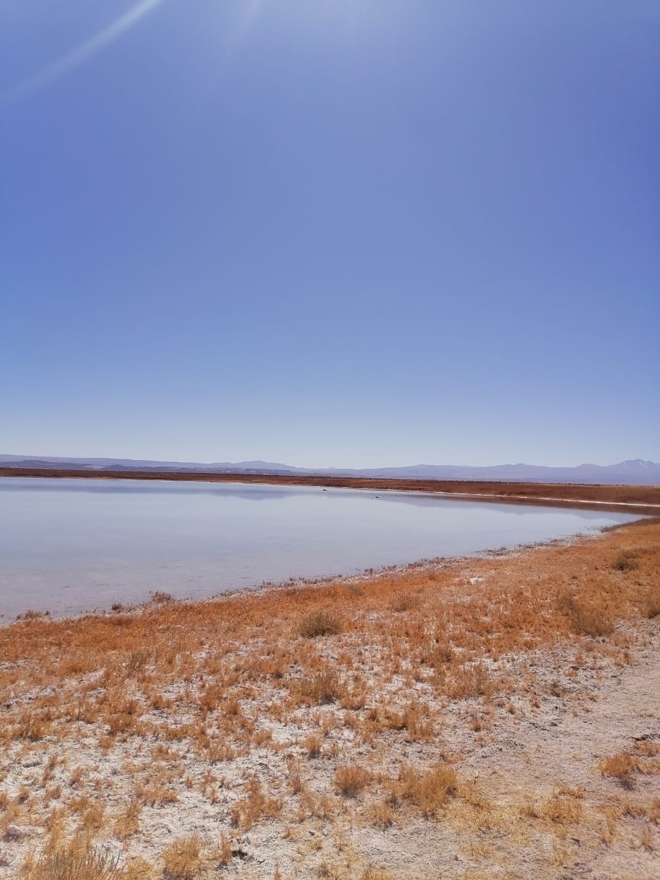 Registro de actividad en territorio (12)