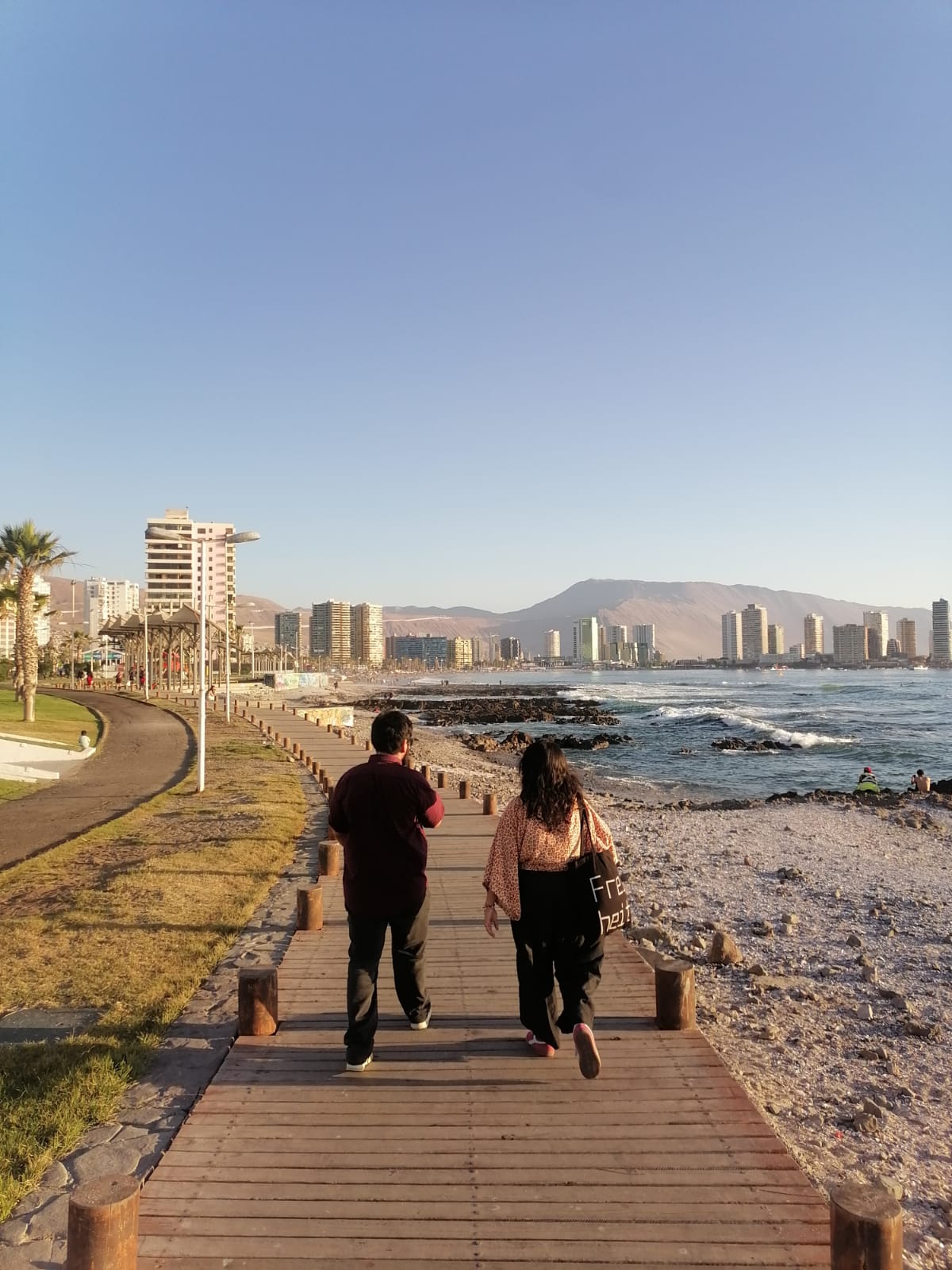 Registro de actividad en territorio (4)