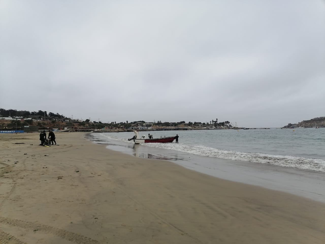 Registro de actividad en territorio (5)