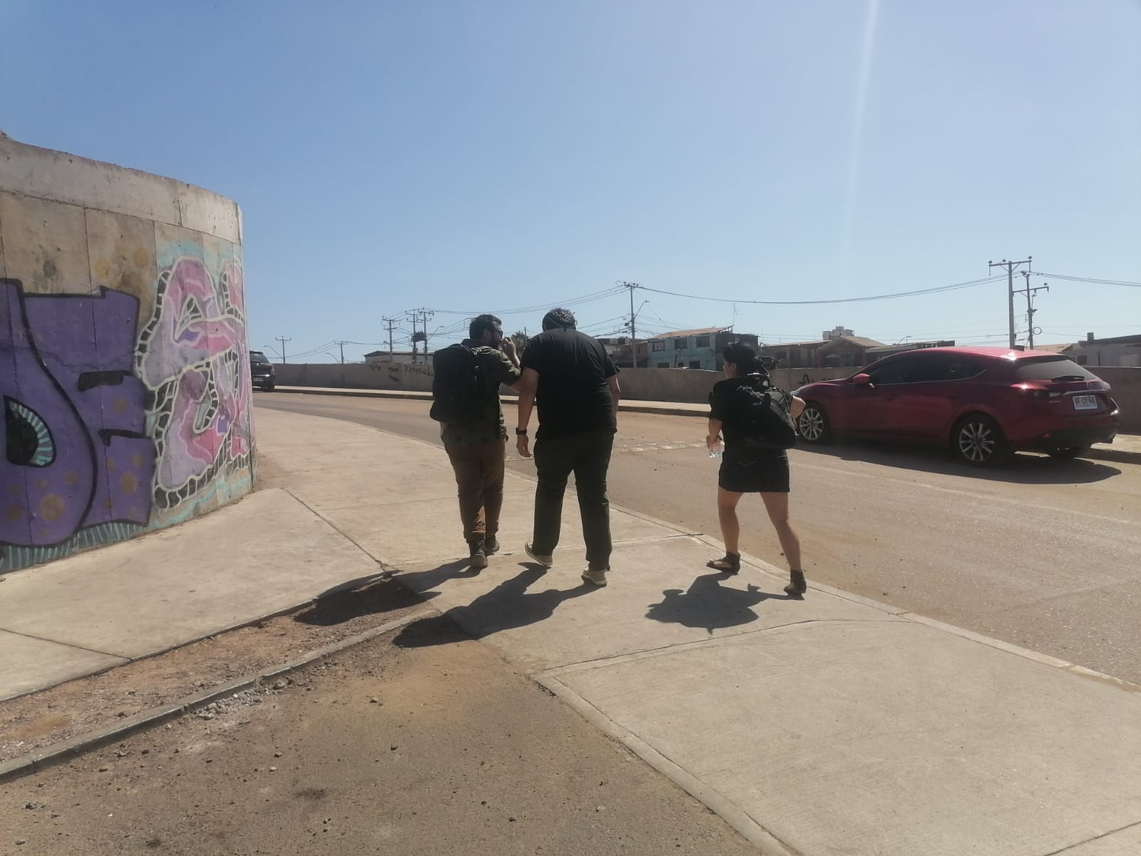 Registro de actividad en territorio (9)